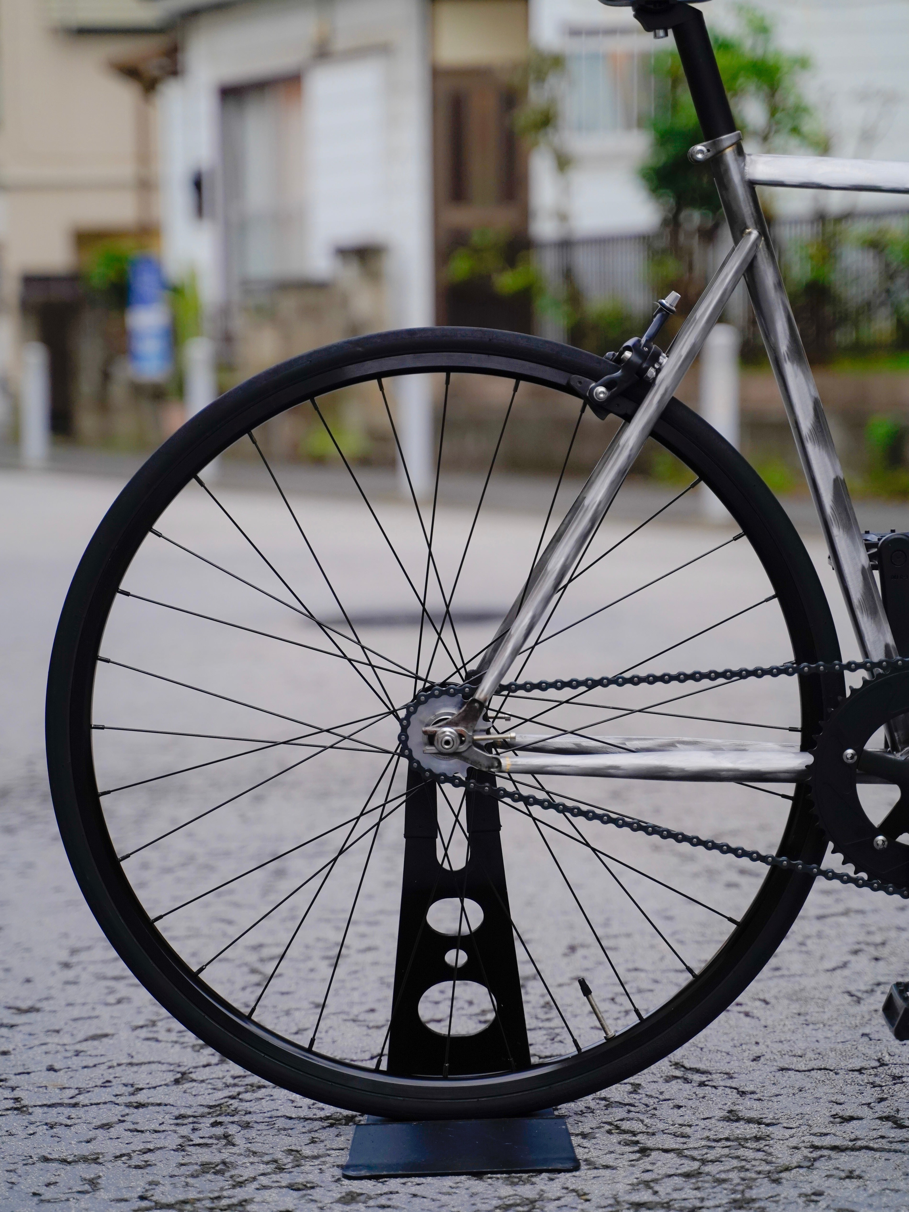 SOUPRA -Naked fish-