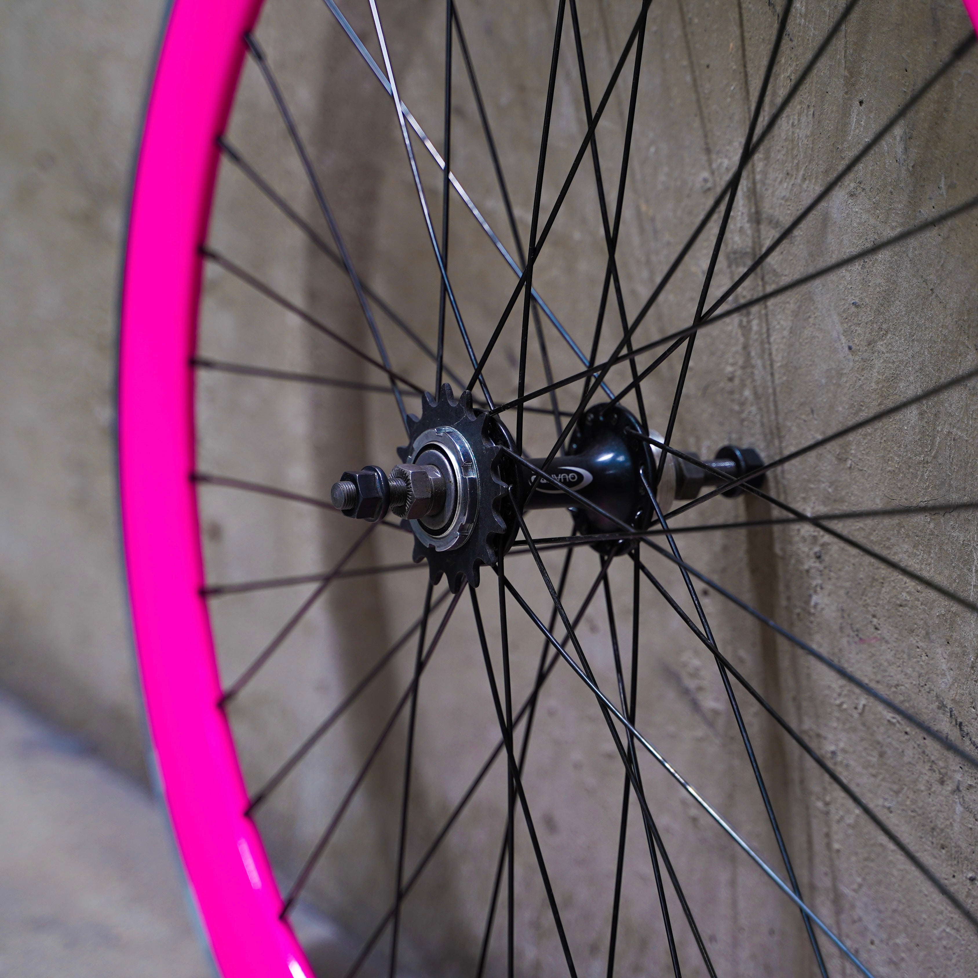 【FUN】CHAMELEON Rear Wheel -pink-