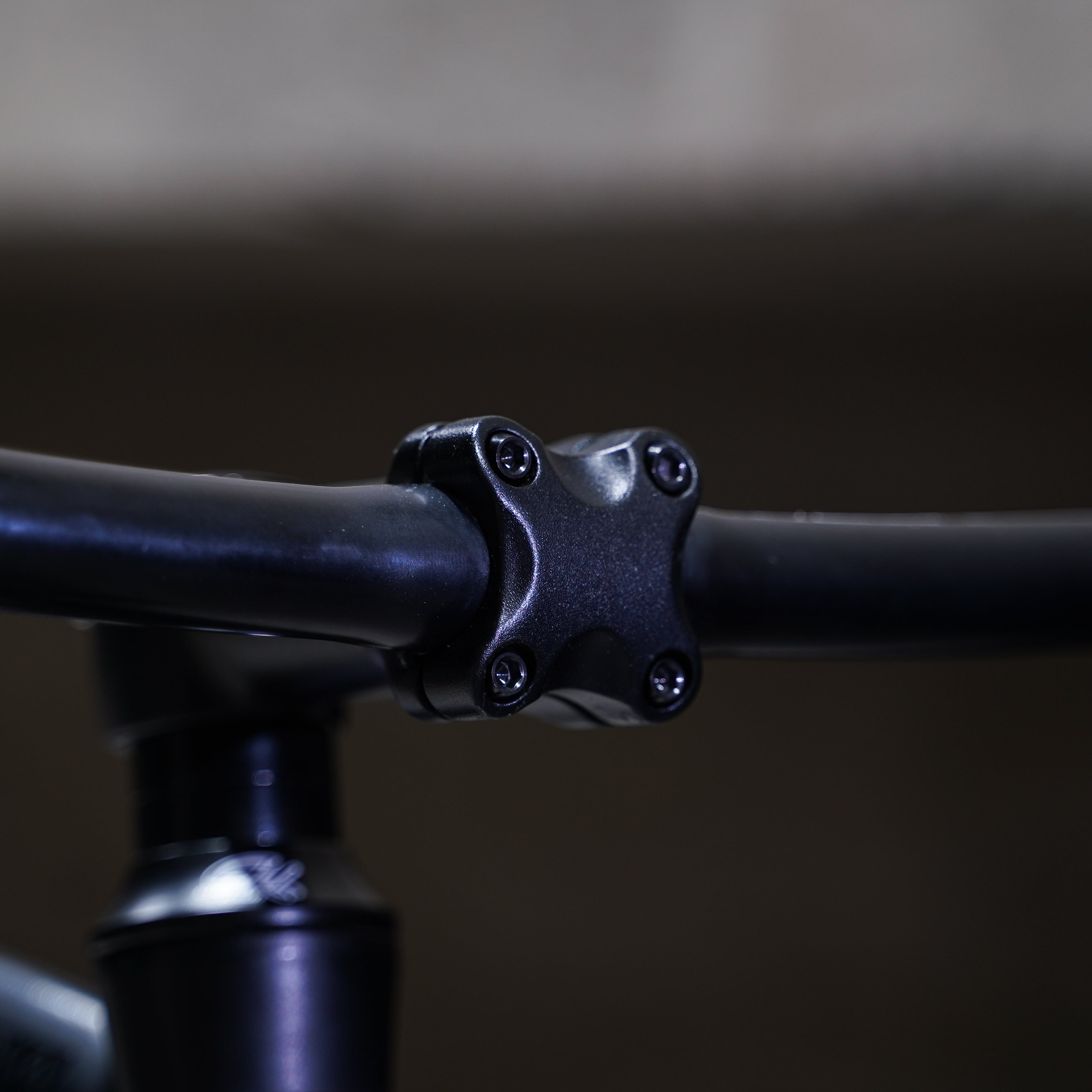 【FUN】COLOR Stem -Black-