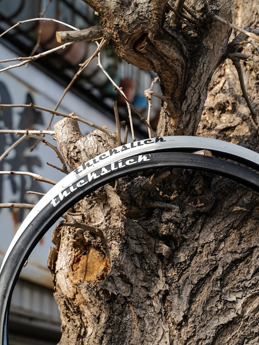【WTB】THICKSLICK COMP 700×25C - White - LINKEY CYCLE【WTB】THICKSLICK COMP 700×25C - White -