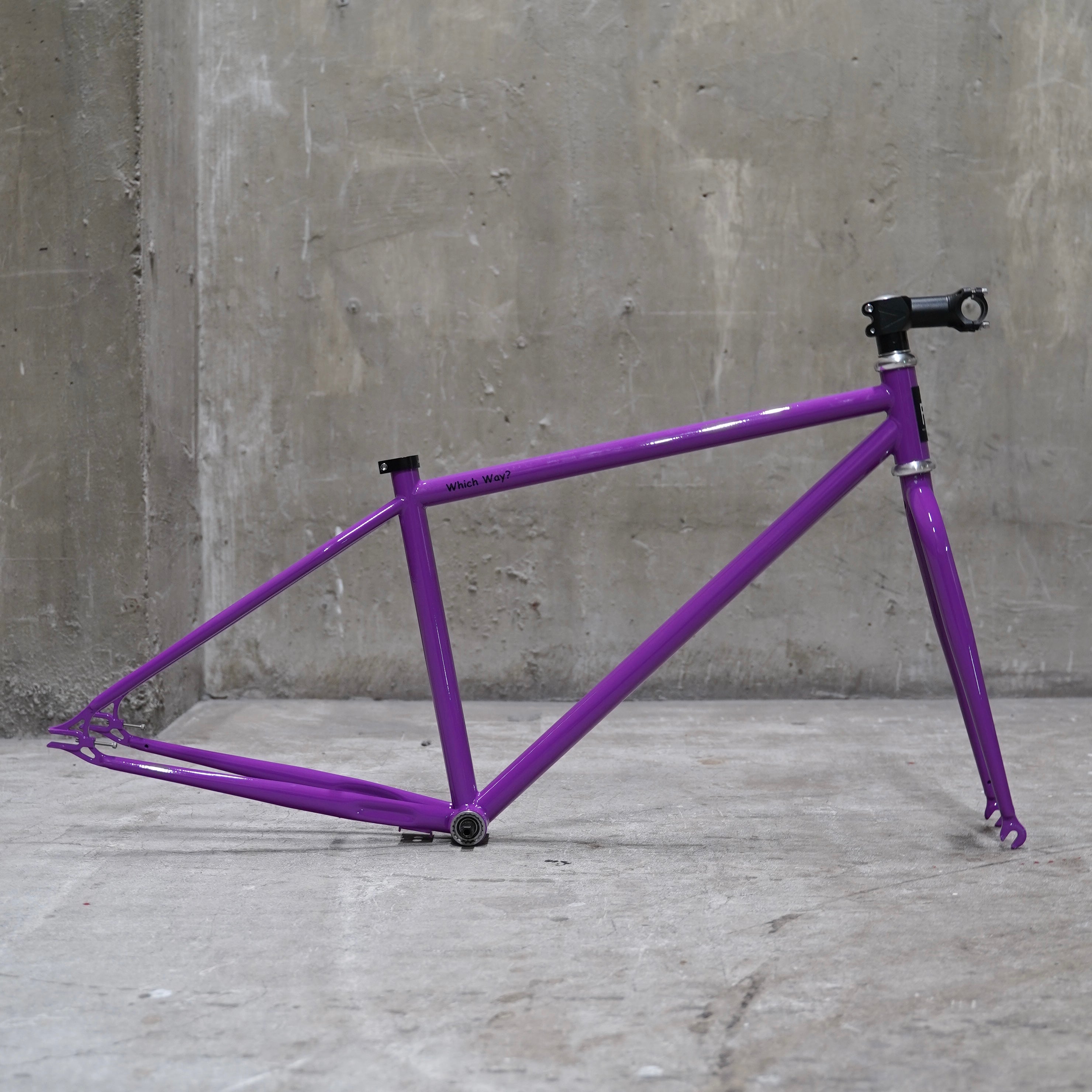 【FUN】ANGUS STREET Frame -Gloss Purple-