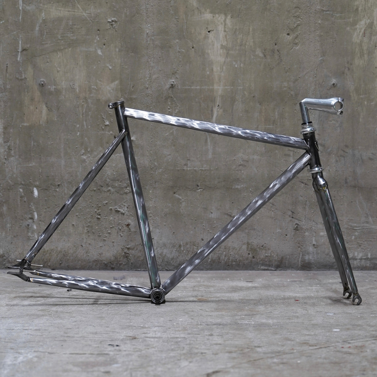 【FUN】SOUPRA Frame -Naked Fish-