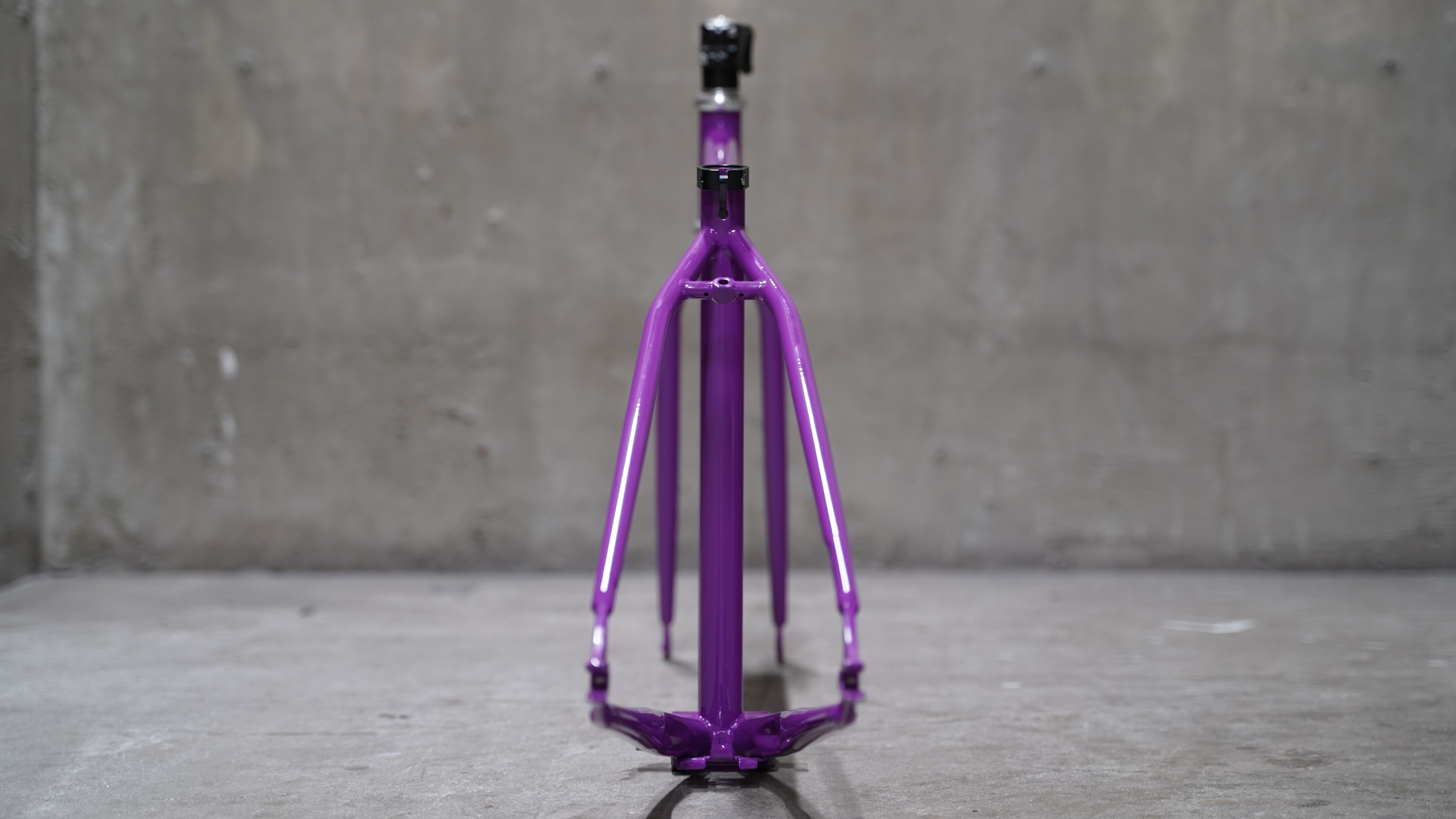 【FUN】ANGUS STREET Frame -Gloss Purple-