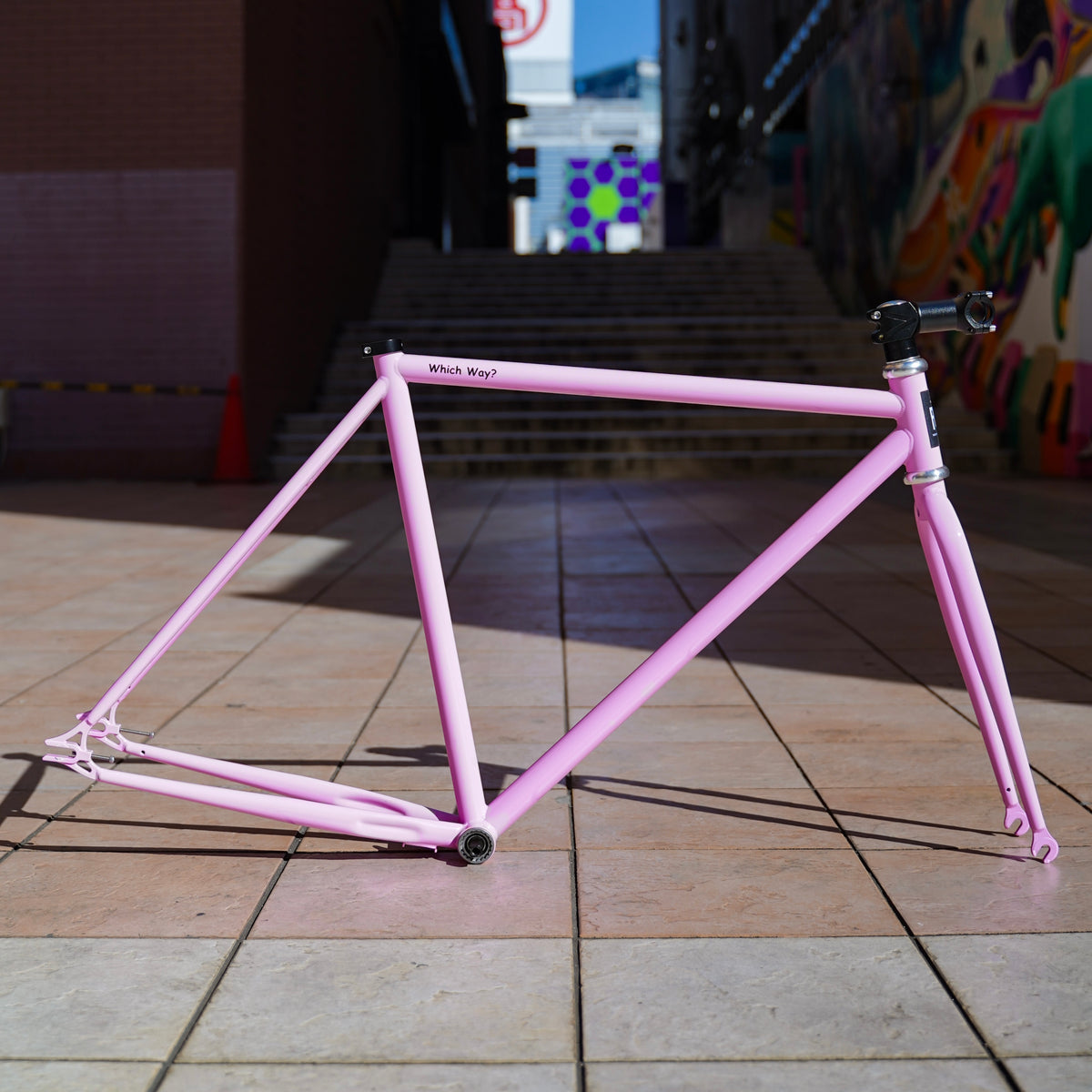 【FUN】ANGUS FLAT Frame -Gloss Pink-