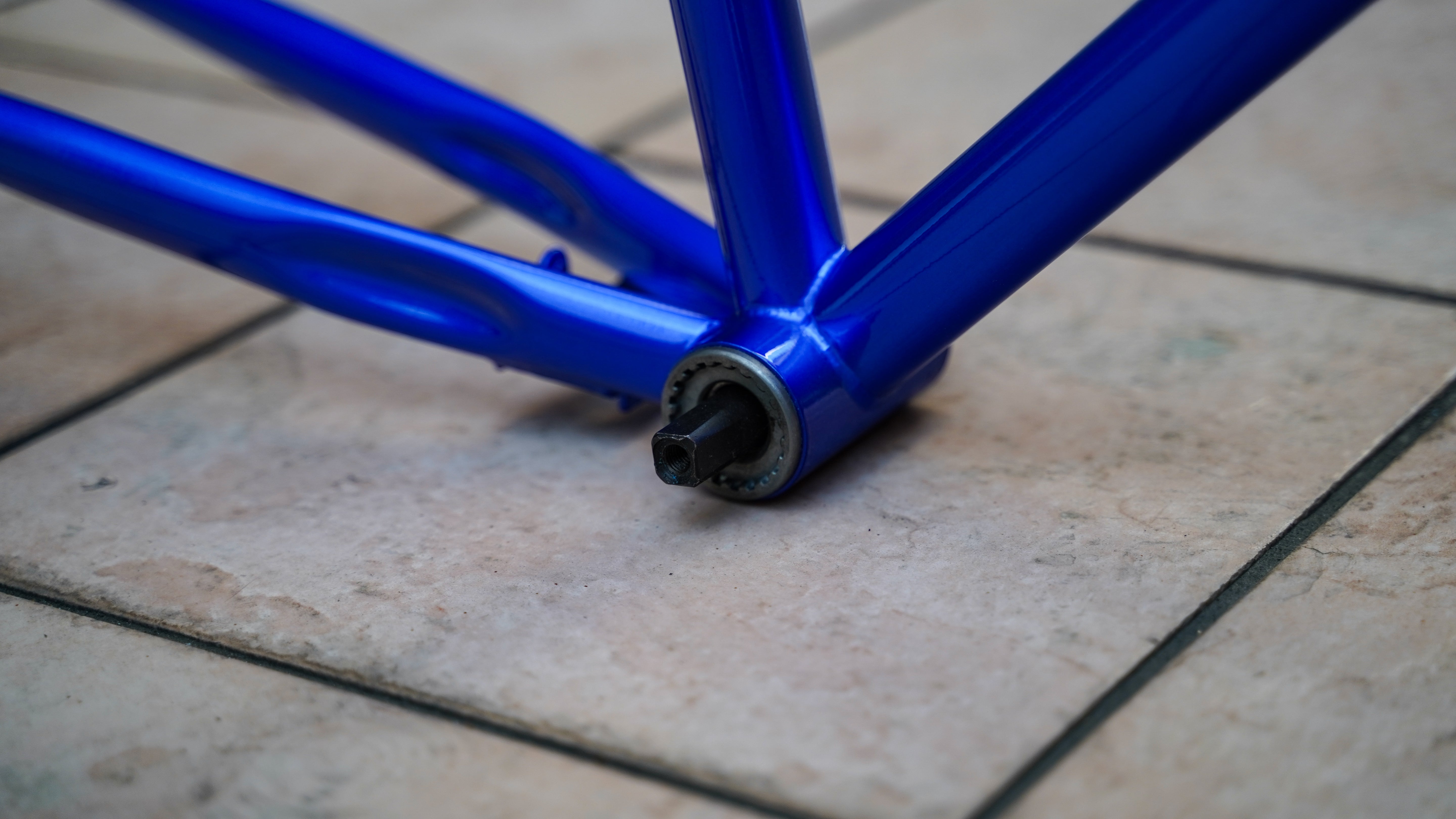 【FUN】ANGUS FLAT Frame -Gloss Blue-