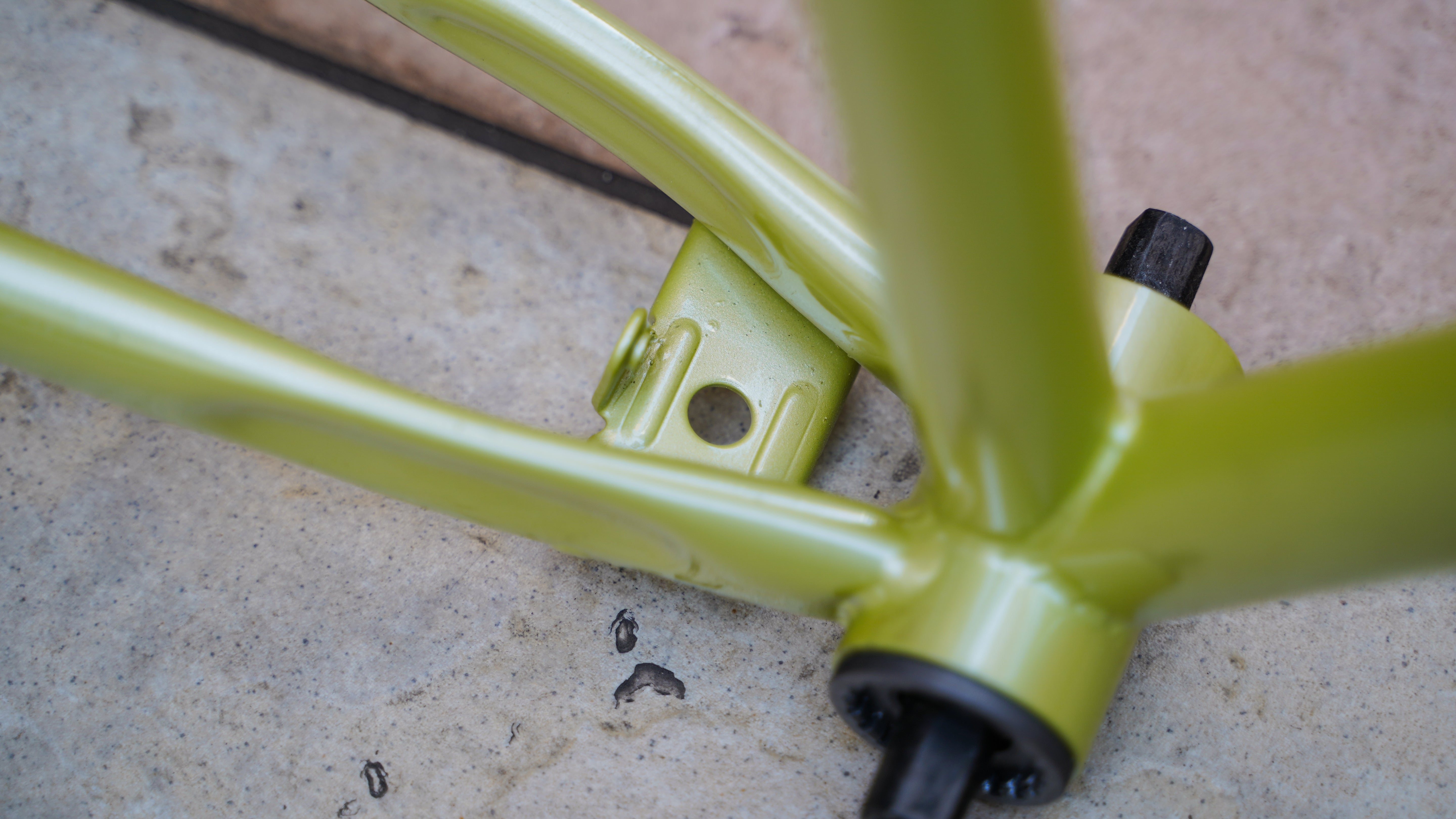 【FUN】STINGRAY FUNNY Frame -Metallic Lightgreen-
