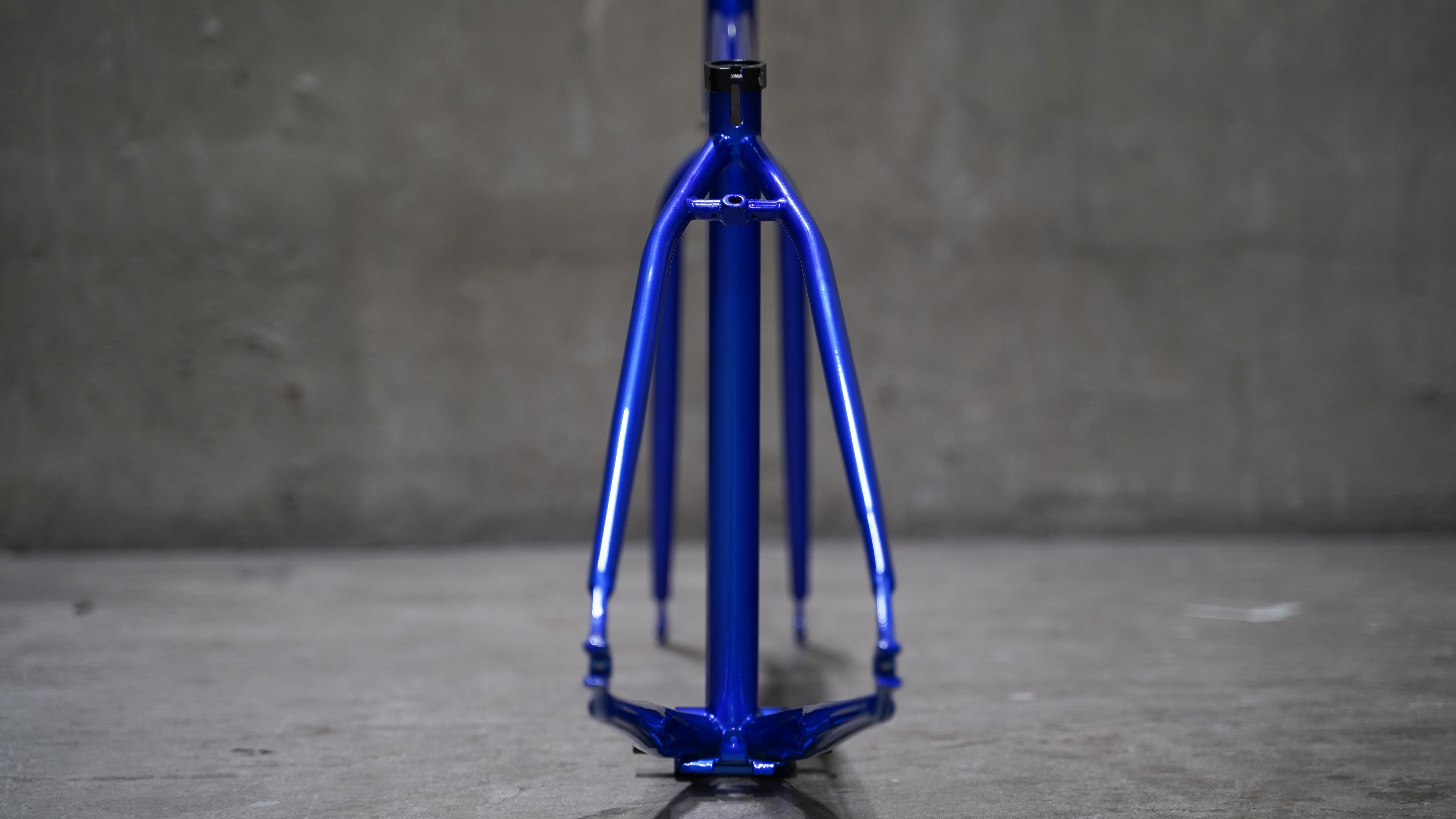 【FUN】ANGUS STREET Frame -Gloss Deep Blue-