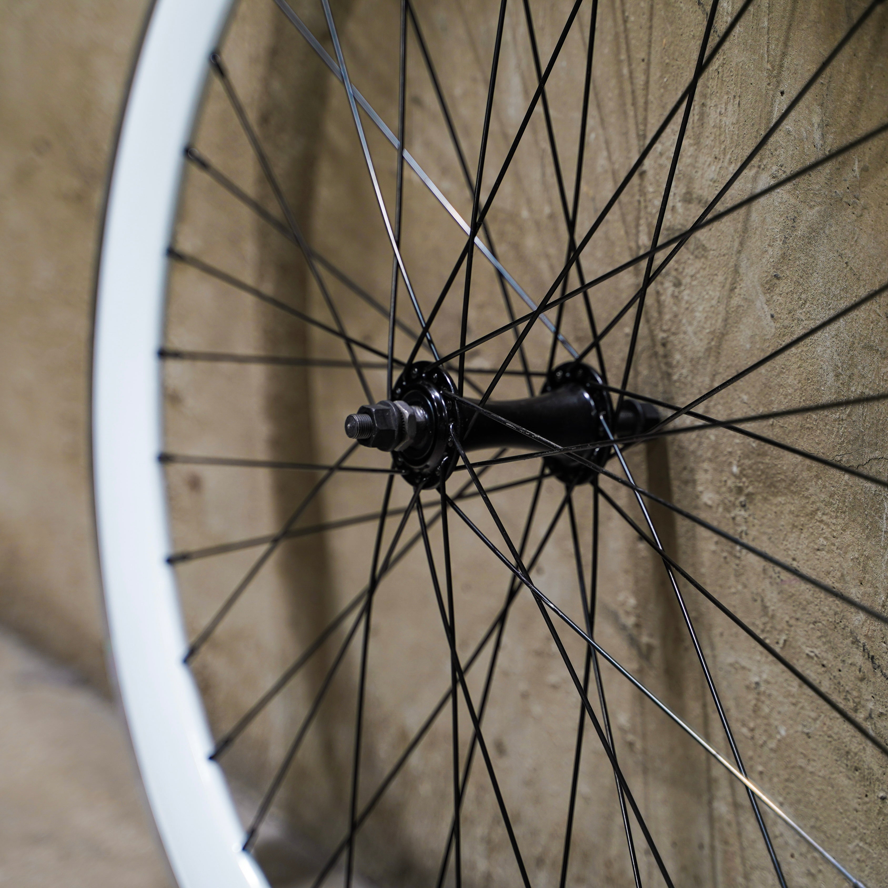 【FUN】CHAMELEON Front Wheel -white-